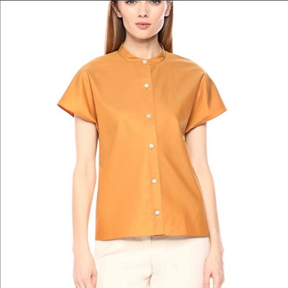 Theory Brown Orange Short Sleeve Dolman Blouse